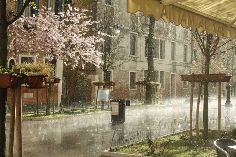 The Quiet Seasons: What Spring and Winter in Mahony Offer That Summer Simply Can't